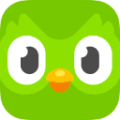 Duolingo — ლოგო