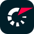FlashScore — ლოგო